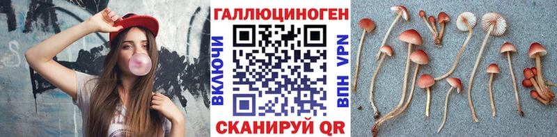 KRAKEN как зайти  Волчанск  Псилоцибиновые грибы мухоморы 